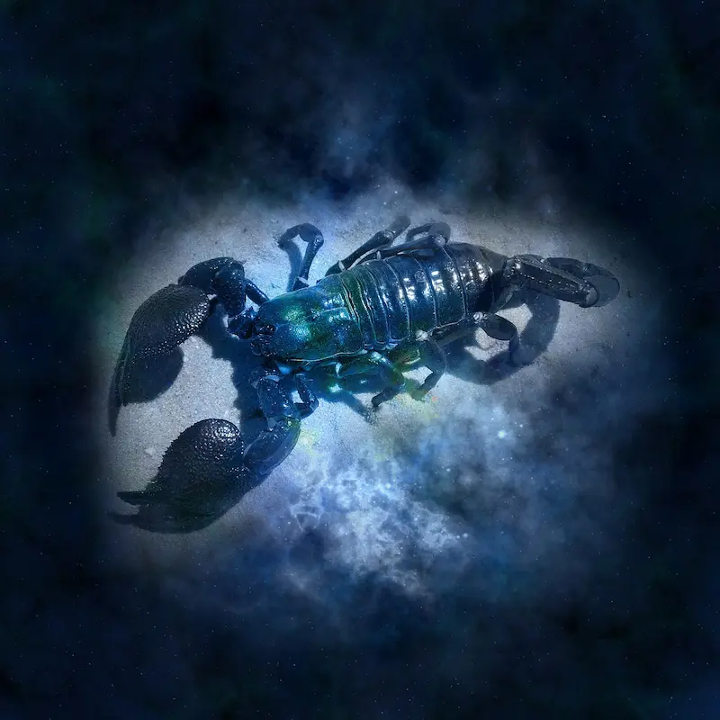 Lado Ruim do Escorpião, imagem em preto e azul com um escorpião