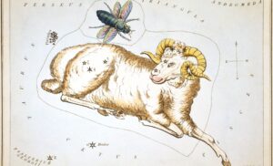 Signos que combinam com Áries: pares, tabela e sinastria