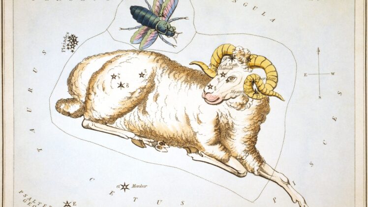 Signos que combinam com Áries: pares, tabela e sinastria