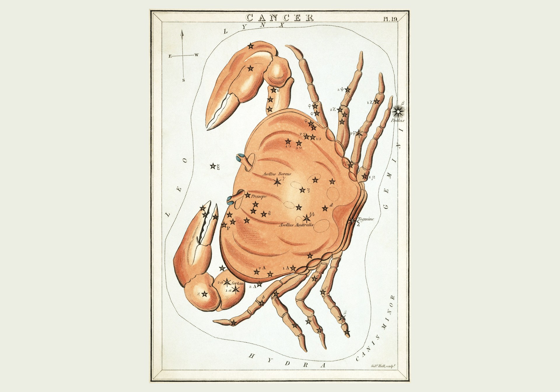 Gravura antiga da constelação de Câncer, um grande caranguejo alaranjado salpicado de estrelas, da série Urania's Mirror