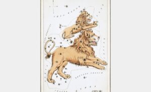 Signos que combinam com Leão: pares, tabela e sinastria