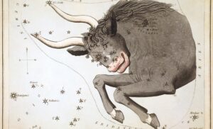 Signos que combinam com Touro: pares, tabela e sinastria