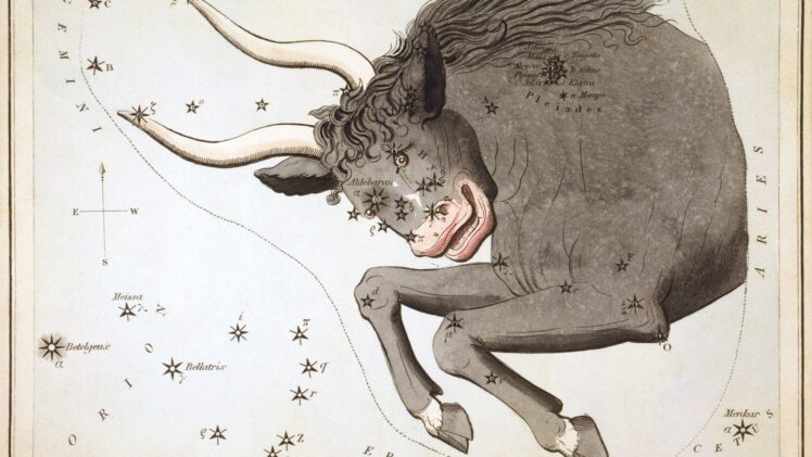 Signos que combinam com Touro: pares, tabela e sinastria