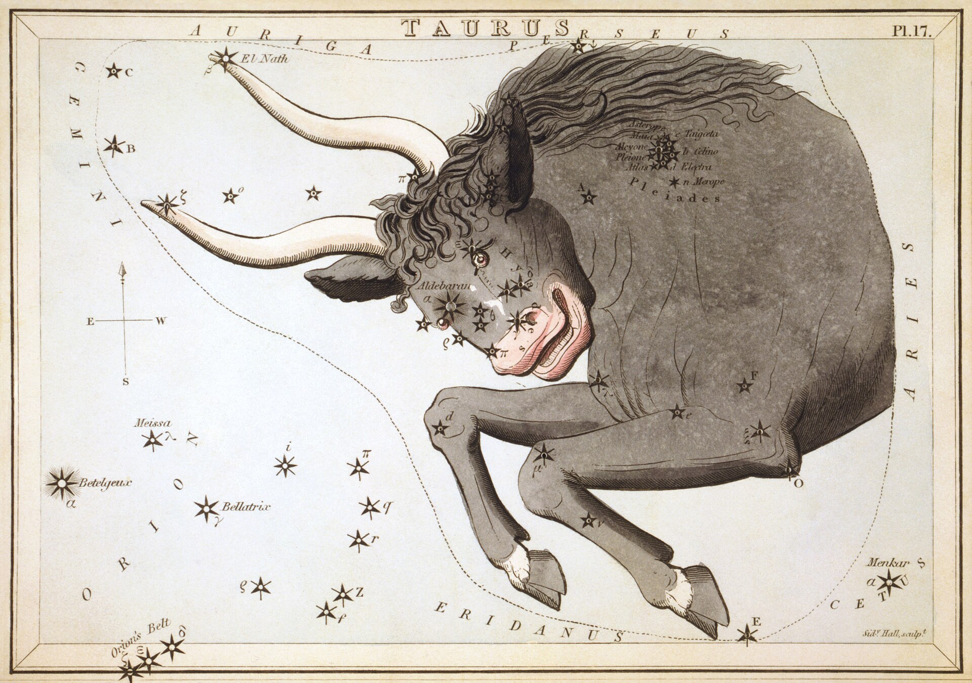 Ilustração antiga da constelação de Touro, a metade dianteira de um touro entre estrelas, da série Urania's Mirror